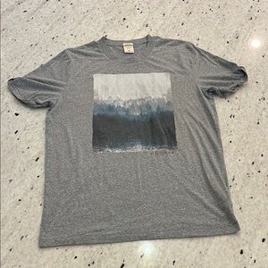 Abercrombie & Fitch Heather Gray Graphic Muscle Tee Shirt